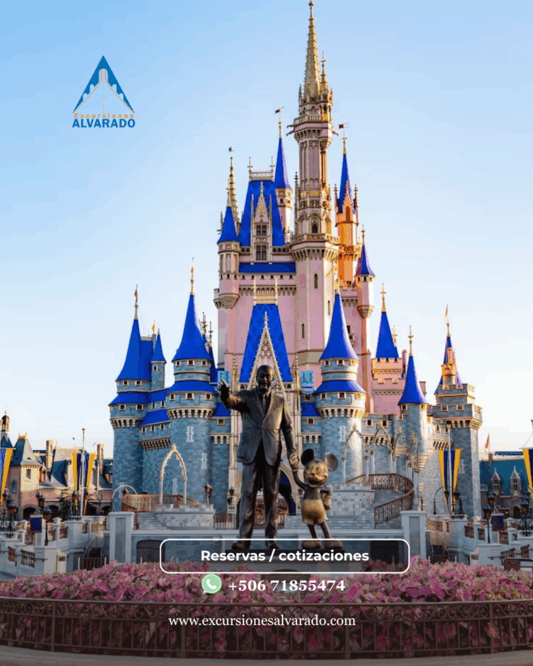 Paquetes Disney